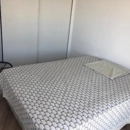 Apartment 2 Pieces 4 Personnes A 100 M De La Saint-Cyprien (Pyrenees-Orientales)